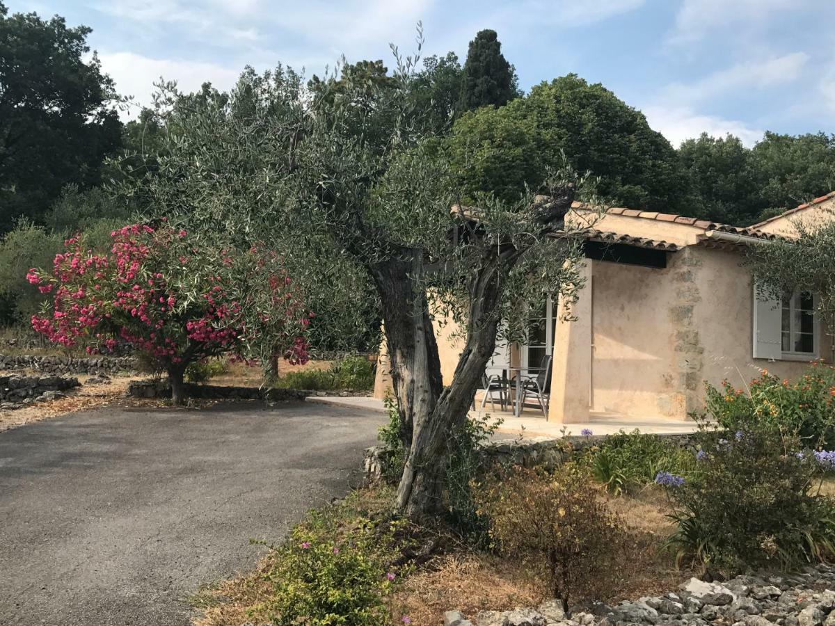 Villa Du Sud Ванс Екстер'єр фото