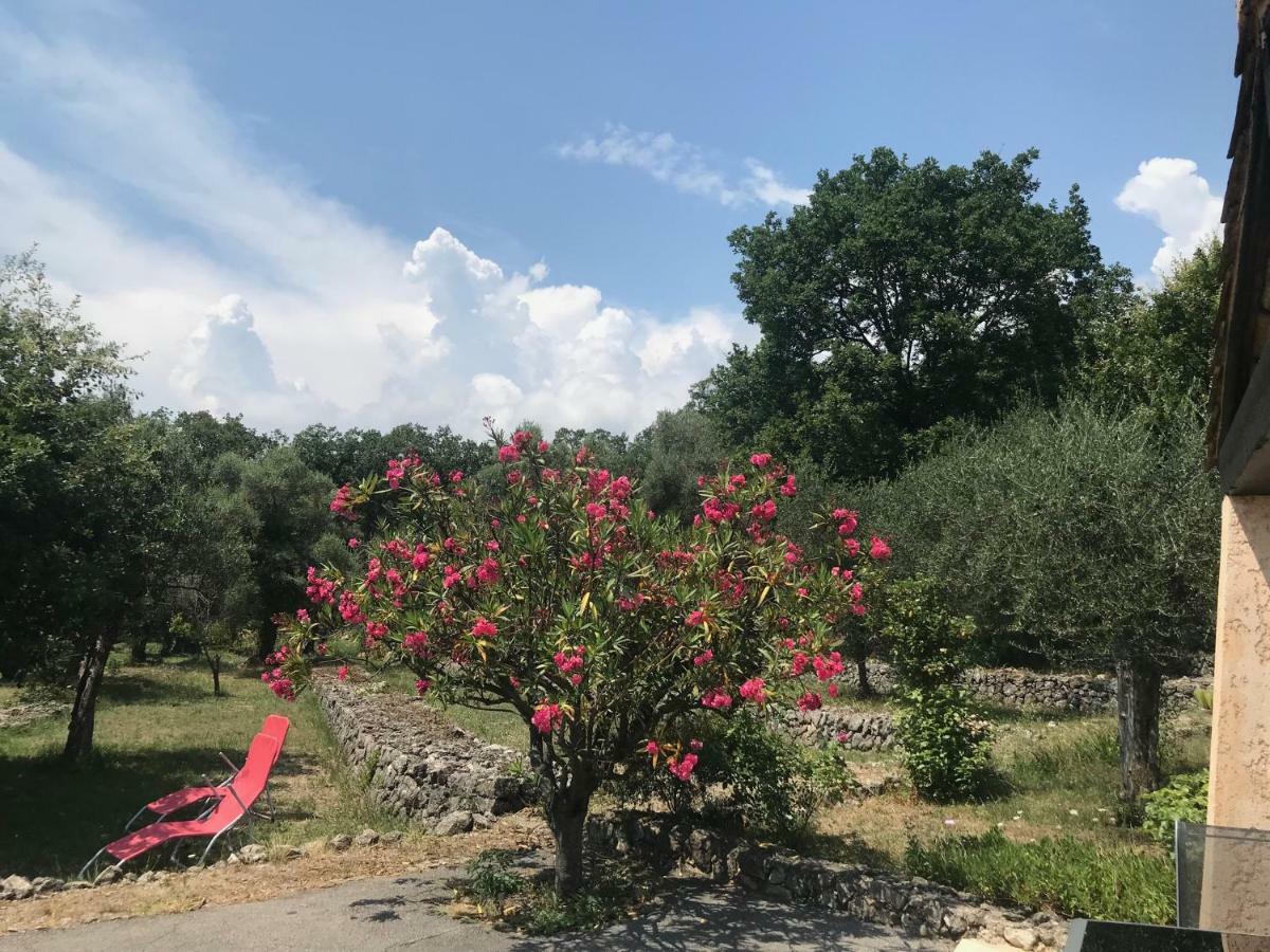 Villa Du Sud Ванс Екстер'єр фото