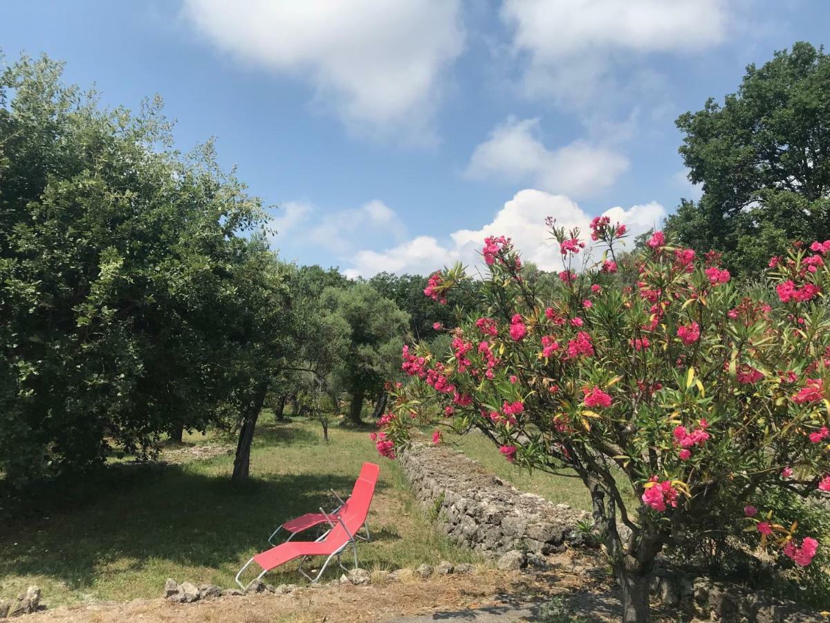 Villa Du Sud Ванс Екстер'єр фото